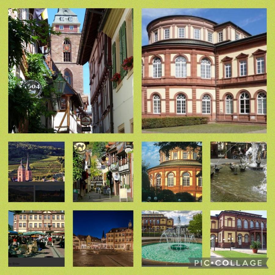 Ferienhaus Heil Neustadt an der Weinstraße Exterior foto